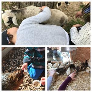 Ausflug in die Merian Gärten