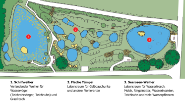 Karte Bammertsgraben