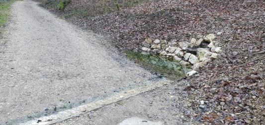 Quelle Chäppeligraben