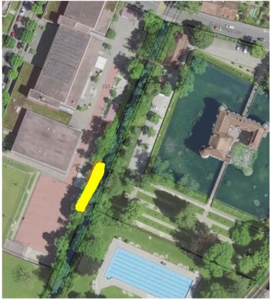Rodungsarbeiten beim Schulhaus Burggarten